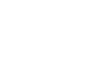 visa footer logo